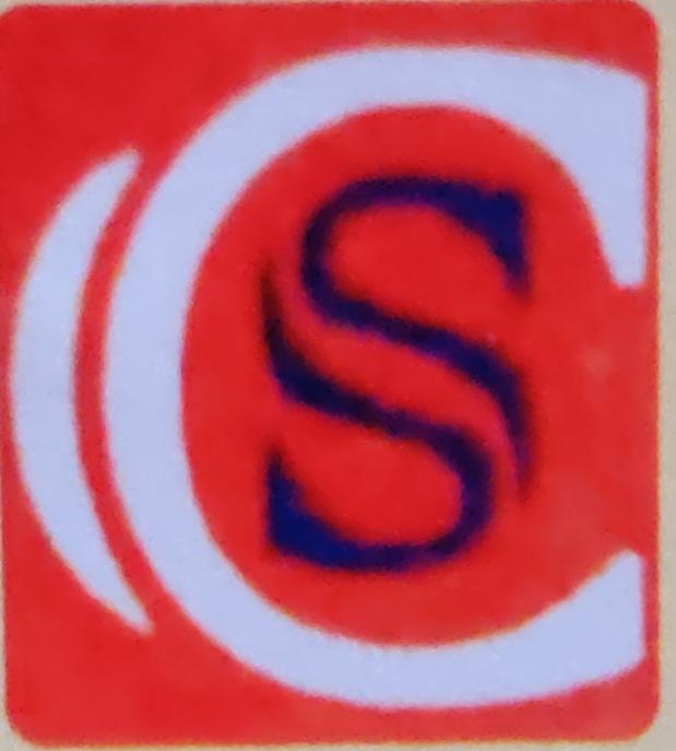 City Courier Services logo